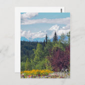 Foto van Alaska Denali Briefkaart (Voorkant / Achterkant)