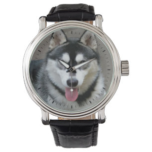 Foto van Alaskan Malamute Dog Horloge