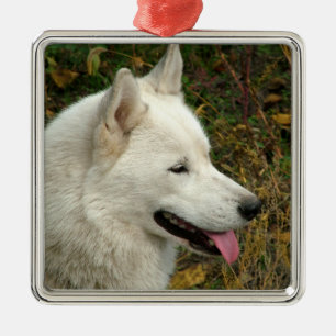 Foto van Alaskan Malamute Dog Metalen Ornament