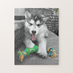Foto van Alaskan Malamute Puppy Color Splash Legpuzzel