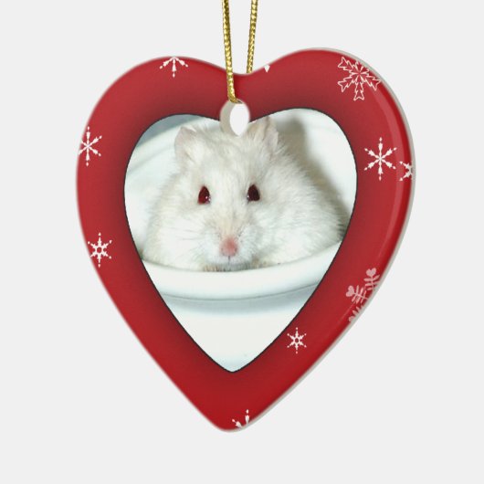 Foto van Albino Hamster Keramisch Ornament (Links)