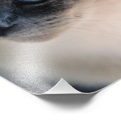 Foto van Aloof Siamese Cat Print Afdruk (Hoek)