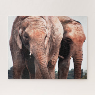Foto van Amazing Elephants Legpuzzel