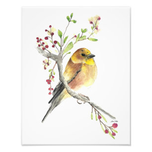 Foto van American Goldfinch Bird Waterverf Afdruk