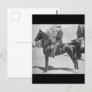  foto van Amerikaanse zadelpaarten Briefkaart