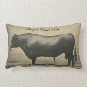  foto van Angus Bull Kussen