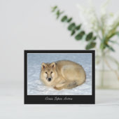 Foto van Arctic Wolf (Polar Wolf, White Wolf) Briefkaart (Staand voorkant)