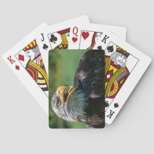 foto van arend pokerkaarten