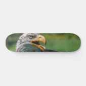 foto van arend skateboard (Horizontaal)