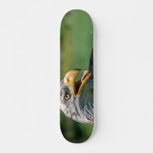 foto van arend skateboard (Voorkant)
