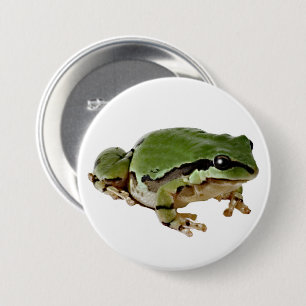 Foto van Arizona Tree Frog Close-up Ronde Button 7,6 Cm