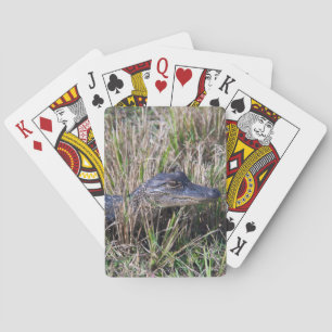 Foto van baby Alligator Cute Florida Pokerkaarten