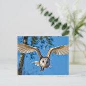 Foto van Barn Owl Flight Briefkaart (Staand voorkant)