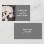 Foto van Beauful White Dog Grey Visitekaartje (Voorkant / Achterkant)
