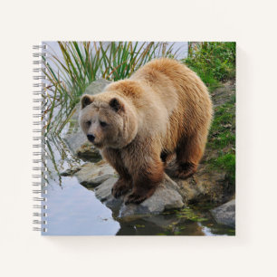 Foto van Beer Wildlife Animal Grizzly Notitieboek