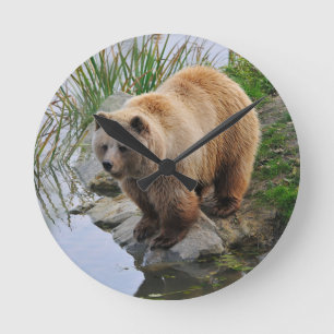 Foto van Beer Wildlife Animal Grizzly Ronde Klok