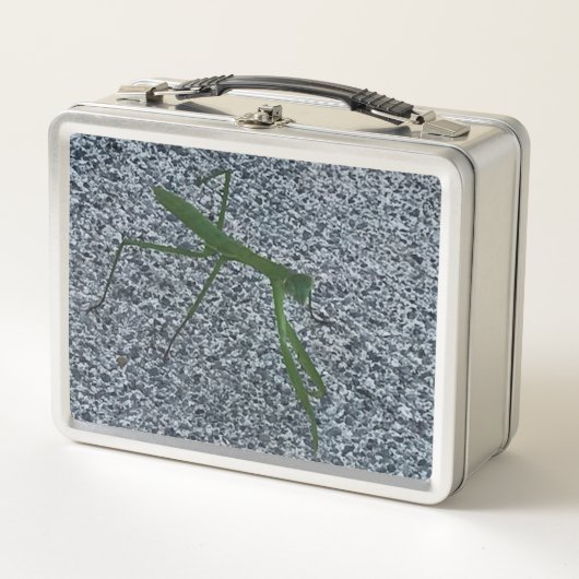 Foto van Bidden Mantis Insect Lunch Boxes (Voorkant)