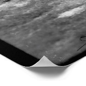 Foto van Black and White Florida Palm Trees Poster (Hoek)