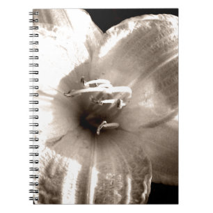 Foto van Black and White Lily Notitieboek