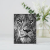 Foto van Black & White Lion Briefkaart (Staand voorkant)