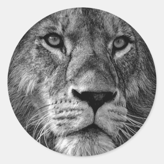 Foto van Black & White Lion Ronde Sticker (Voorkant)