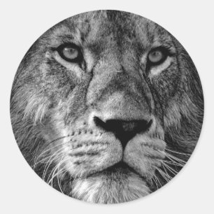 Foto van Black & White Lion Ronde Sticker