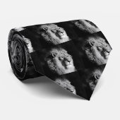 Foto van Black & White Lion Stropdas (Opgerold)