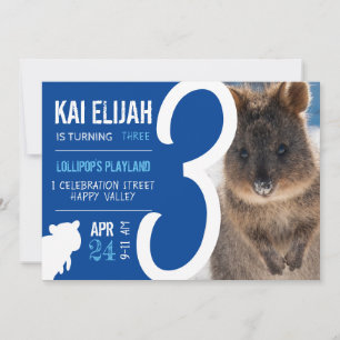 Foto van blauwe quokka in Australië voor derde ver Kaart