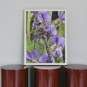 Foto van blauwooglibel perfect poster