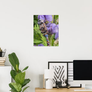 Foto van blauwooglibel poster