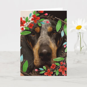 Foto van Bluetick Coonhound-hond/ huisdier Kaart