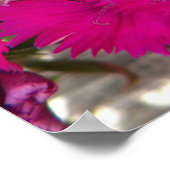 Foto van Bright roze bloemen Poster (Hoek)