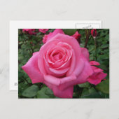 Foto van Bright Roze roze roze Briefkaart (Voorkant / Achterkant)