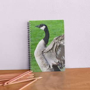 Foto van Canada Goose Flapping Notitieboek