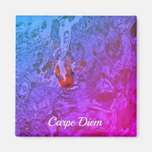 Foto van Carpe Diem Pond Fish Fun Magneet