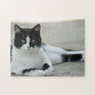 Foto van Cat Black en White Tuxedo Legpuzzel