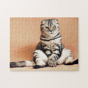 Foto van Cat Cat Cute Legpuzzel