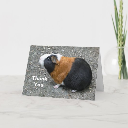 Foto van cavia bedankkaart (Voorkant)