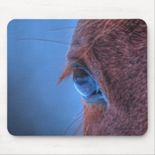 Foto van Chestnut Horse Equine Muismat