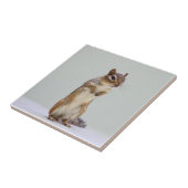 Foto van Chipmunk Tegeltje (Zijkant)