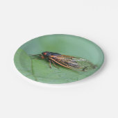 Foto van Cicada Papieren Bordje (Gekanteld)
