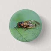 Foto van Cicada Ronde Button 3,2 Cm (Voorkant)