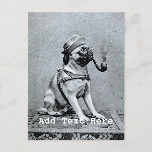 Foto van  Classy Pug Briefkaart (Voorkant)