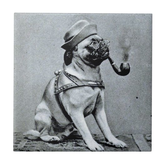 Foto van  Classy Pug Tegeltje (Voorkant)