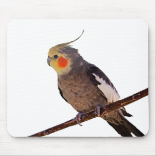 Foto van Cockatiel Gray en Yellow Pet Bird Muismat