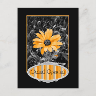 Foto van Color Splash Spring Flash African Daisy Briefkaart