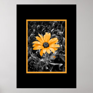 Foto van Color Splash Spring Flash African Daisy Poster
