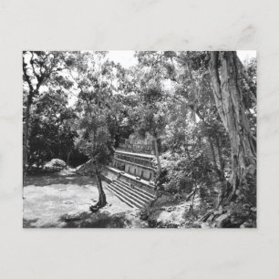 foto van Copan Mayan Ruins van Honduras Briefkaart