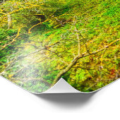 Foto van Corvin castle Foto Afdruk (Hoek)