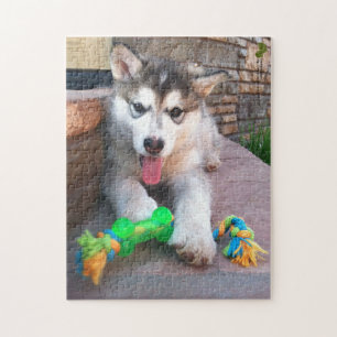 Foto van Cute Alaskan Malamute Puppy Close-up Legpuzzel